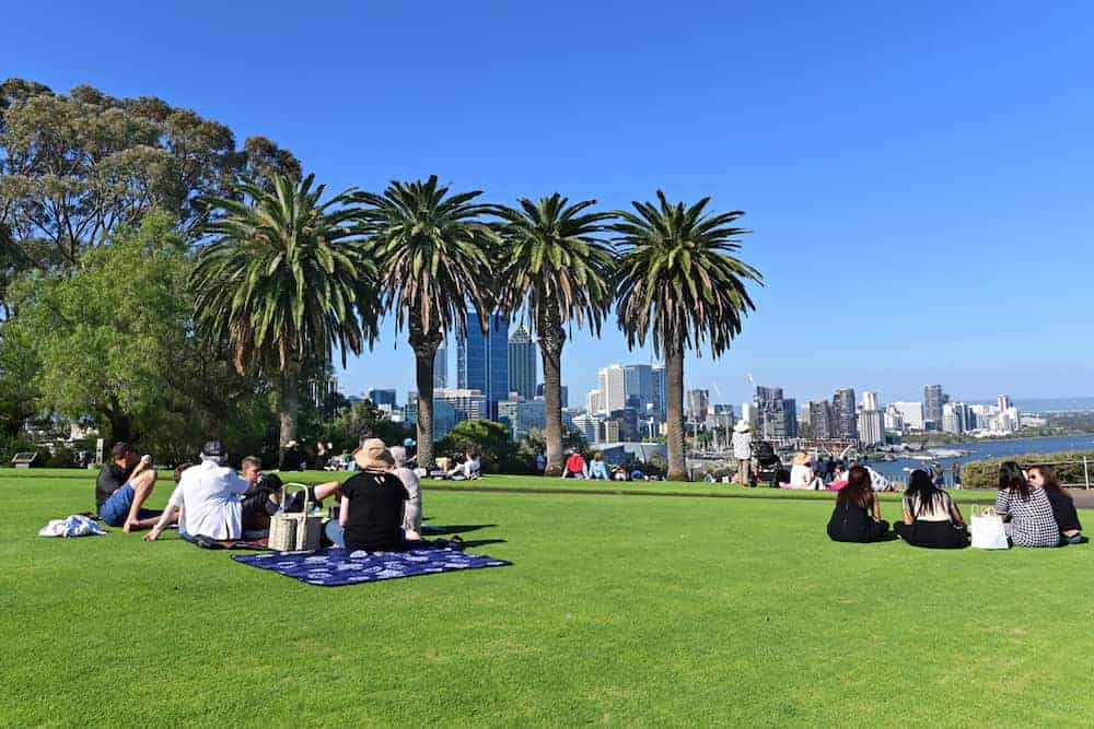 Venture Thrill_Things to Do in Perth Kings Park